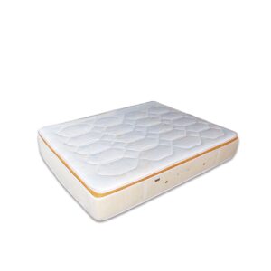 IMG 20251117 155653 771